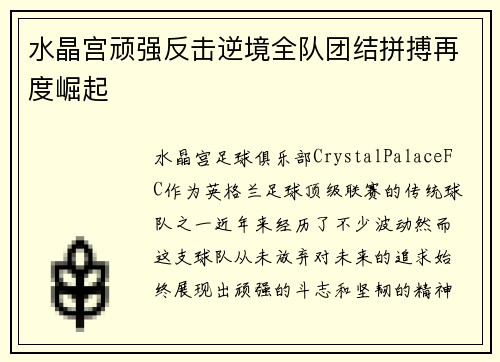 水晶宫顽强反击逆境全队团结拼搏再度崛起